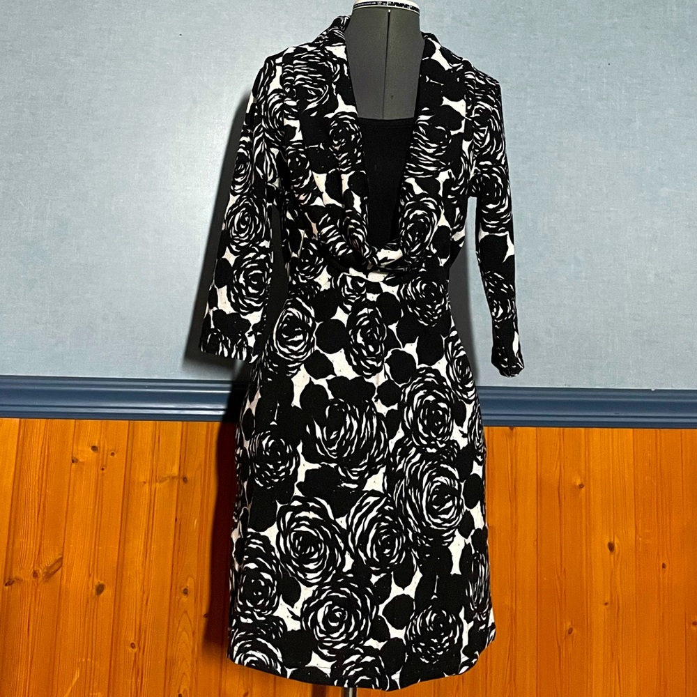 EUC Papillon sweater dress